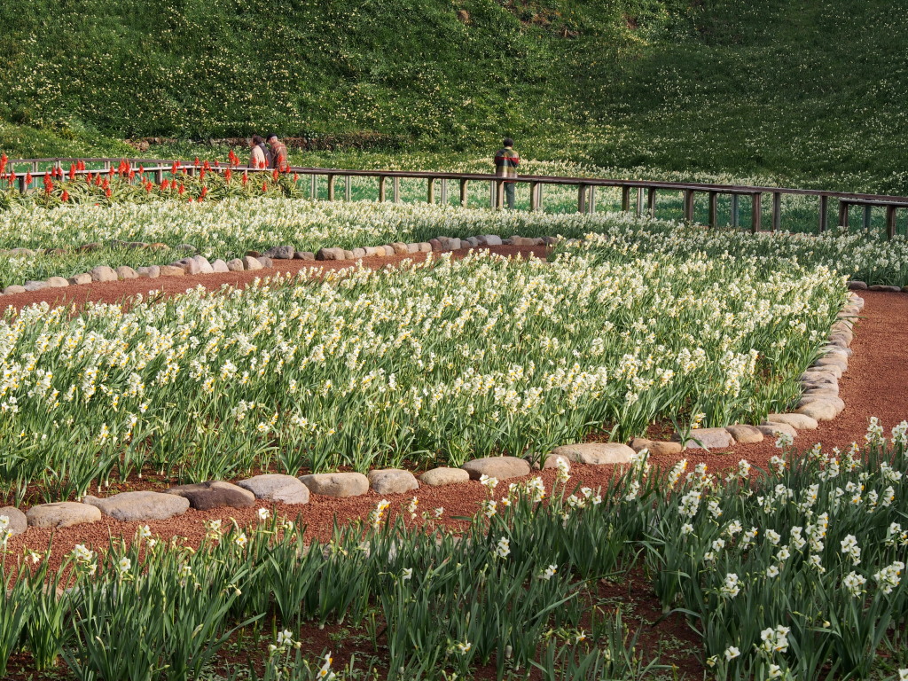 1/22 ���N�̐���