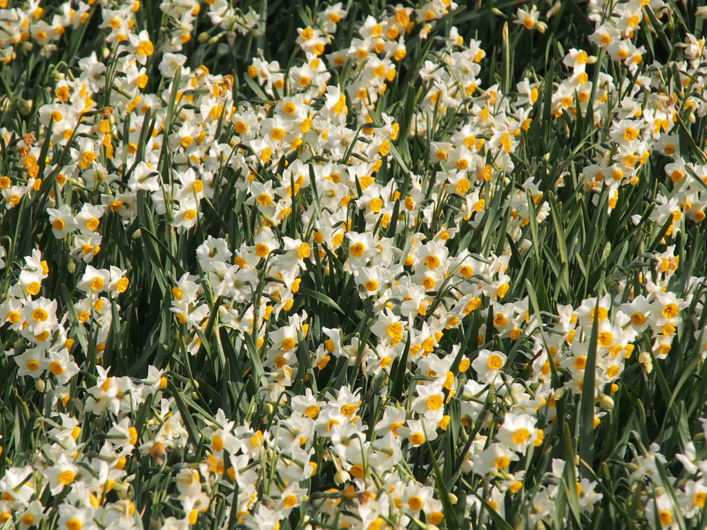 1/22 ���Ȑ���̉�