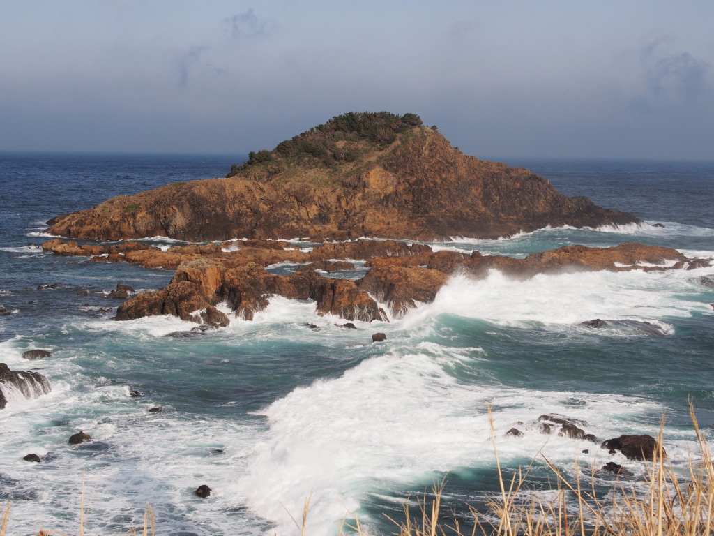 1/22 �����ƍr�g