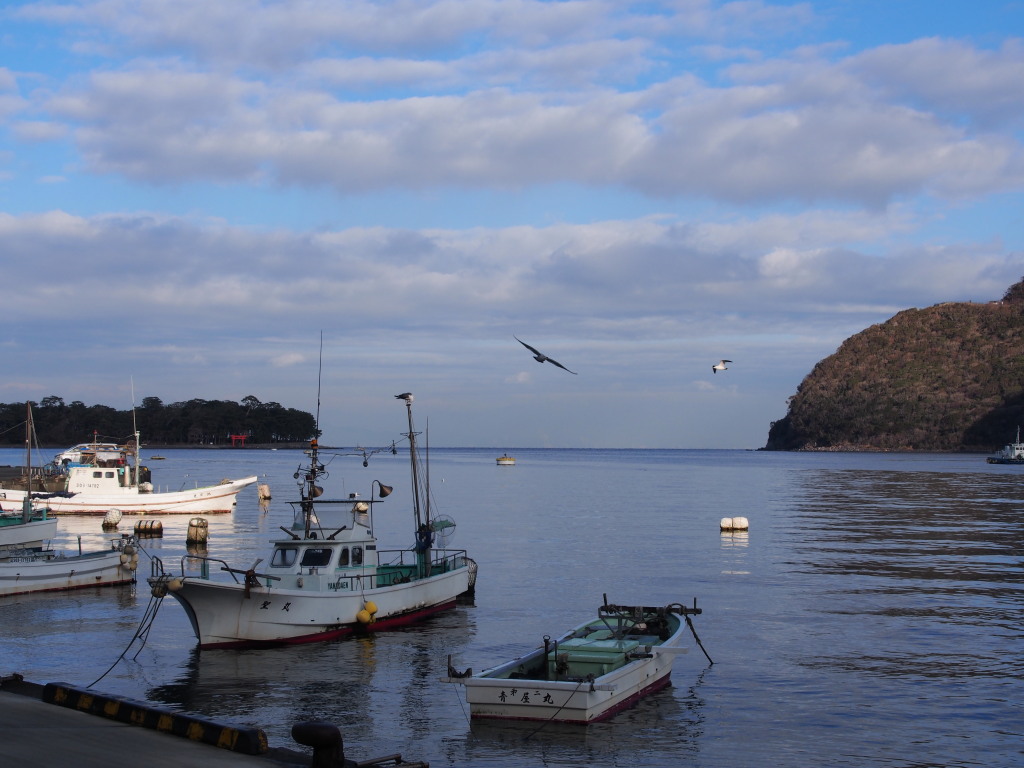 1/24 ��l�`����