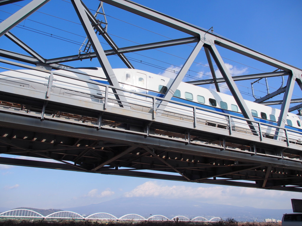 1/25 �V�����ƕx�m�R