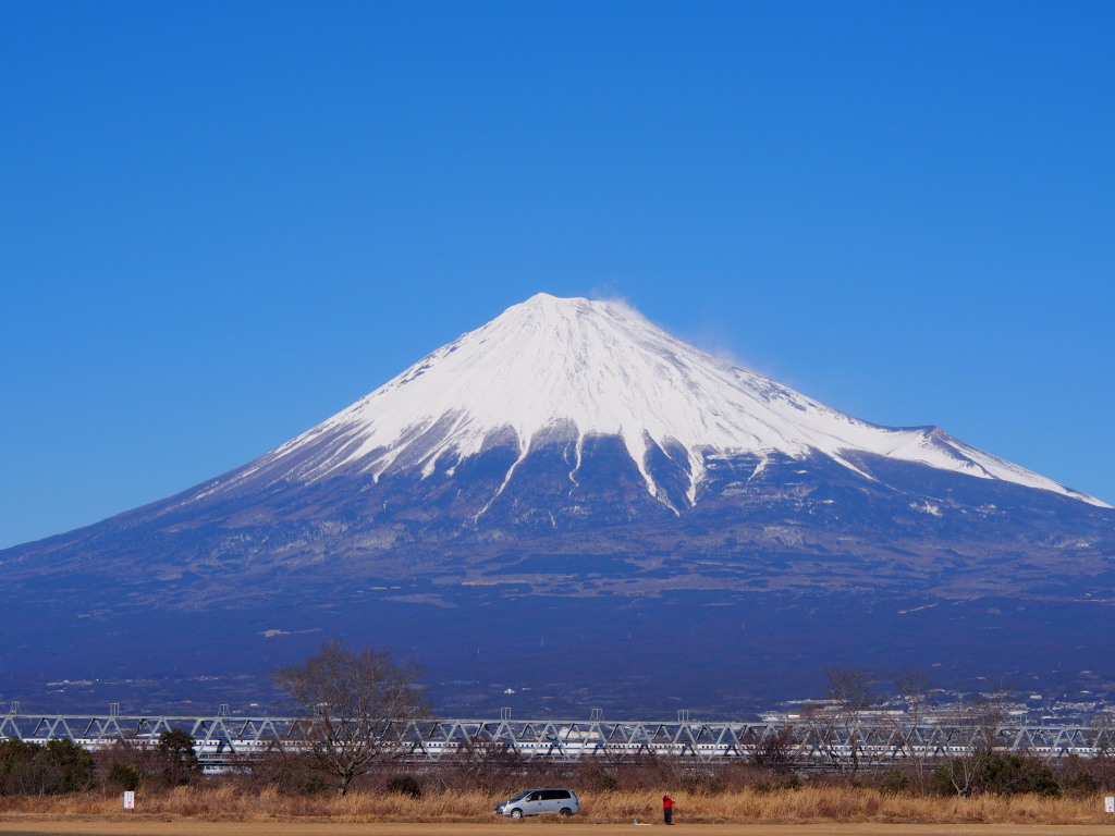 1/25 �V���������ƕx�m�R