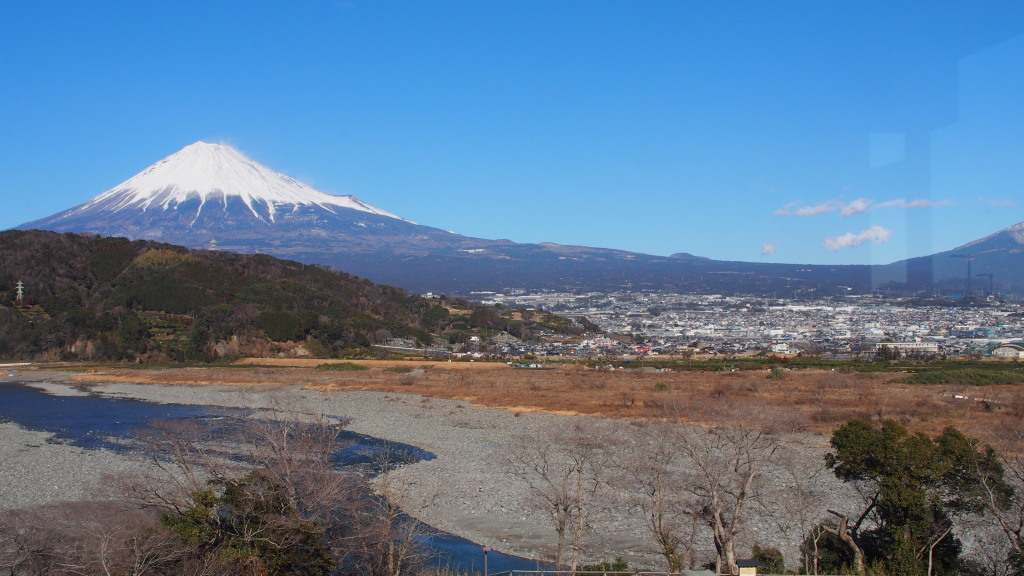 1/25 �x�m�y������̕x�m�R