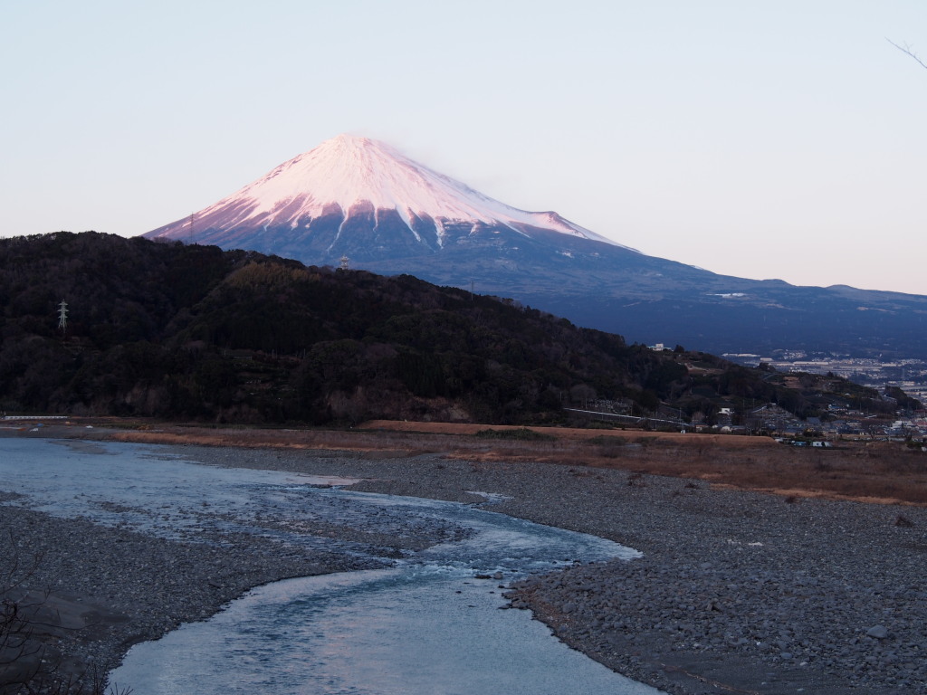 1/25 �ق�̂�g�F