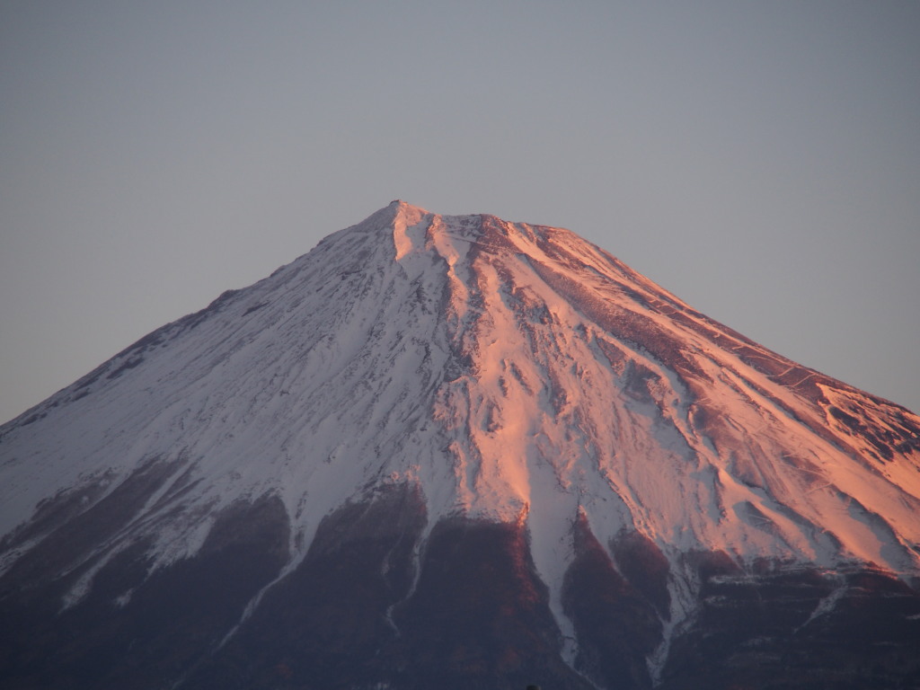 1/27 ���Ă��̕x�m�R