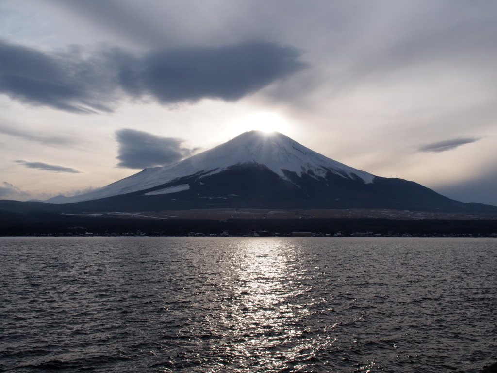 2/7 �_�C�������h�x�m���ǂ�