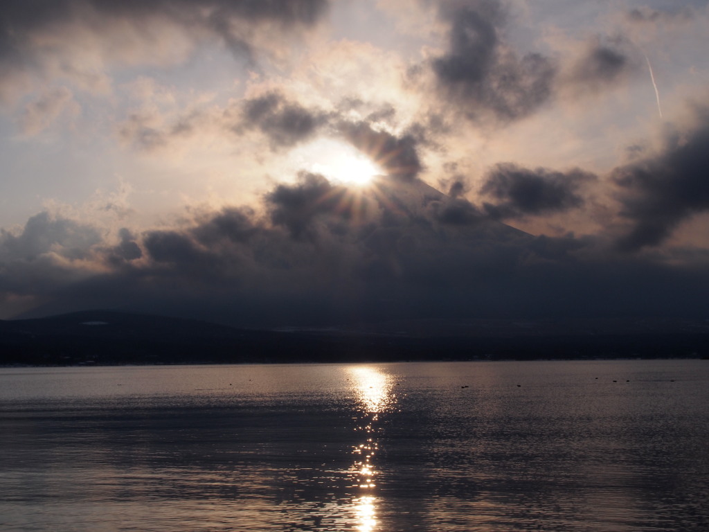 2/12 �_�C�������h�x�m���ǂ�