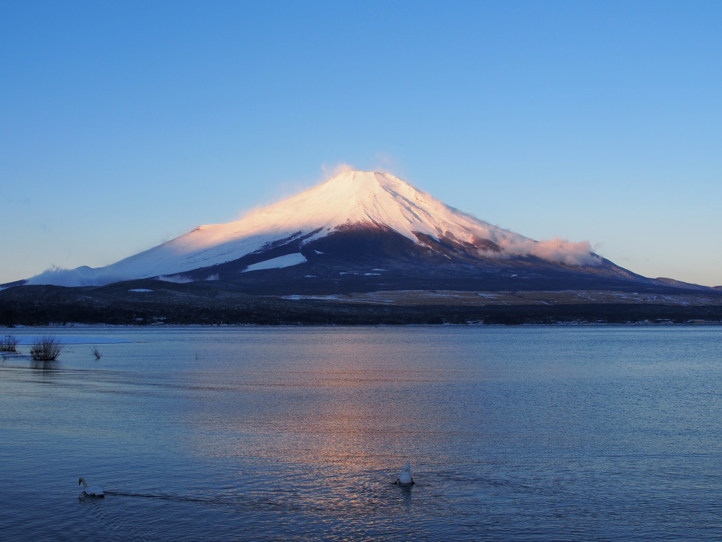 2/13 ���Ă��̕x�m�R