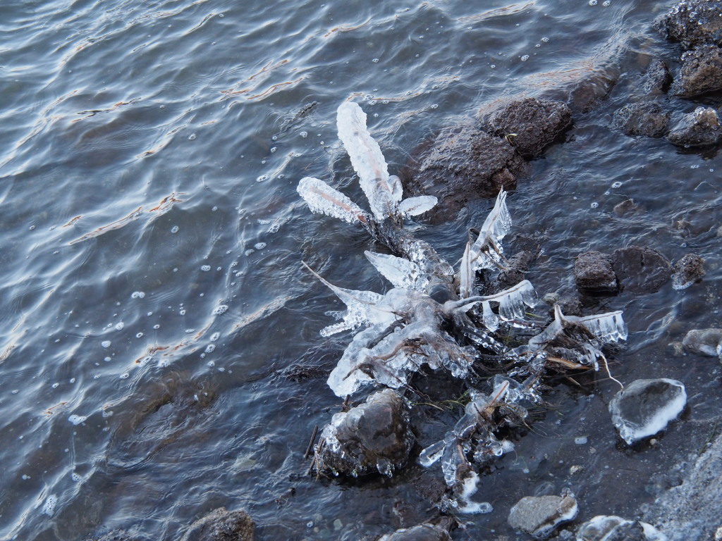 2/17 ����������