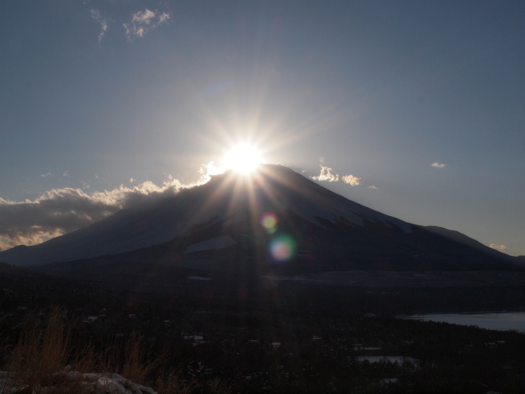 2/21 ������ɒ��ރ_�C�������h�x�m