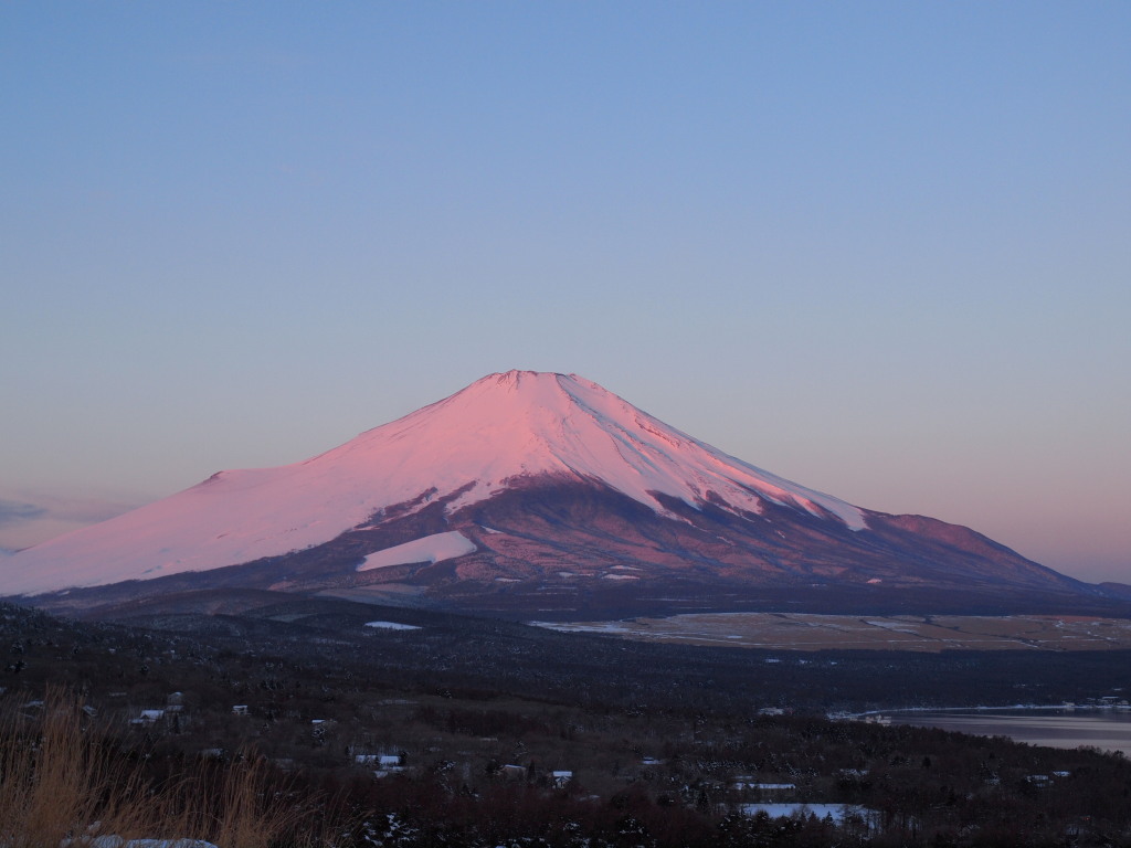 2/22 �ق�̂�g�x�m