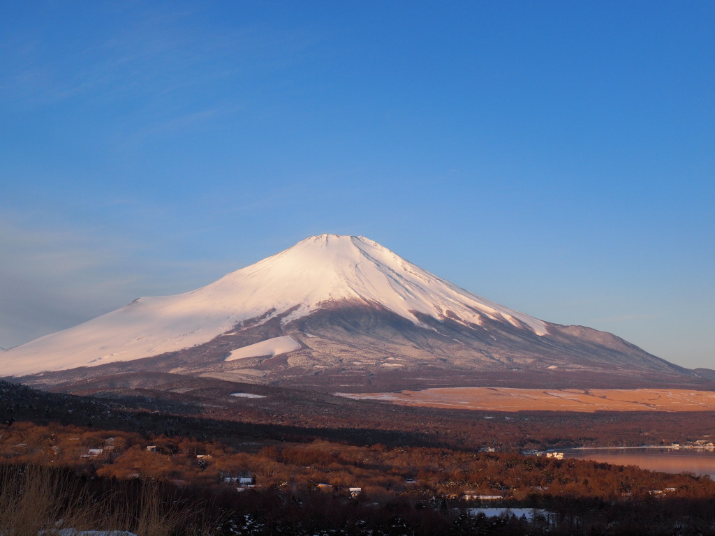 2/22 �Y��ȕx�m�R