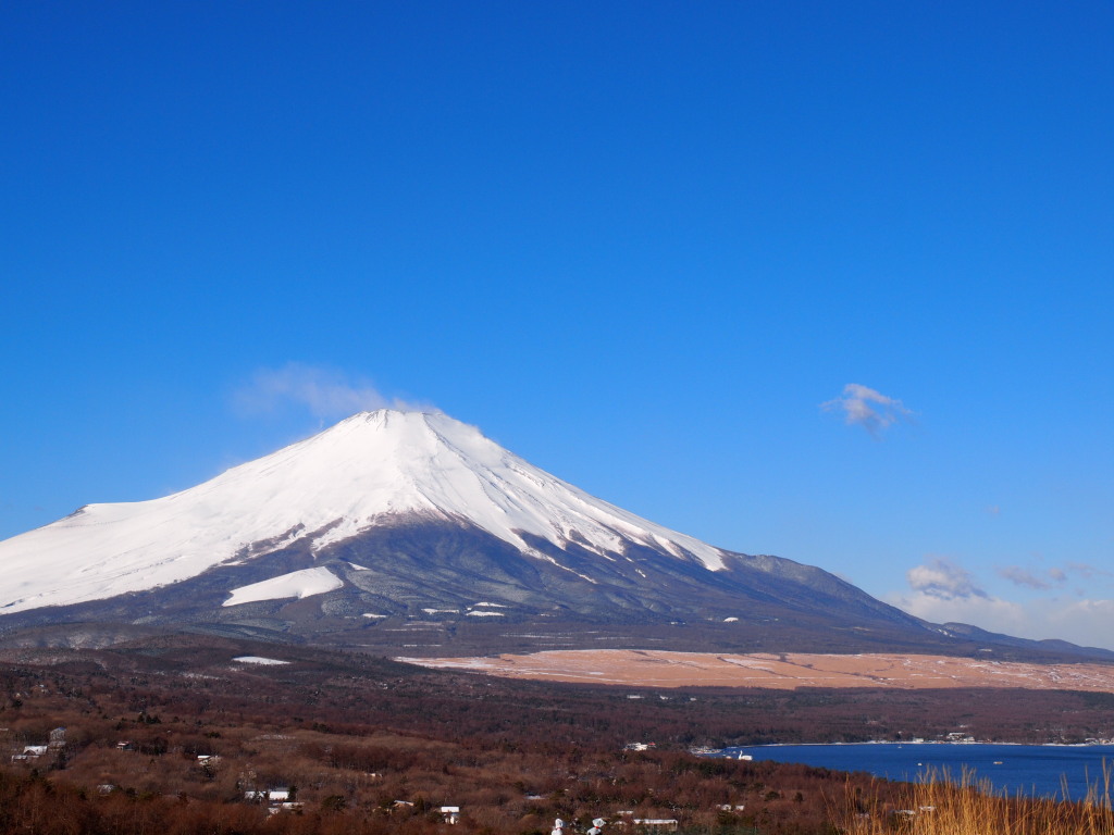 2/24 �Y��ȕx�m�R