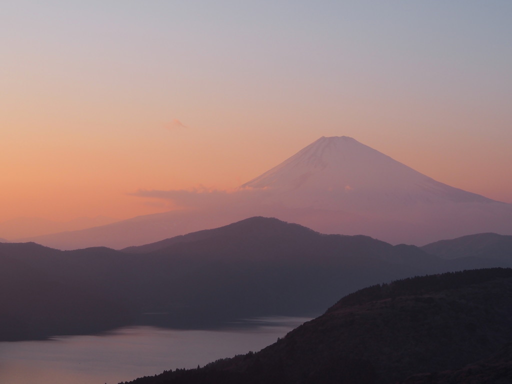 3/5 �[�Ă��̕x�m�R