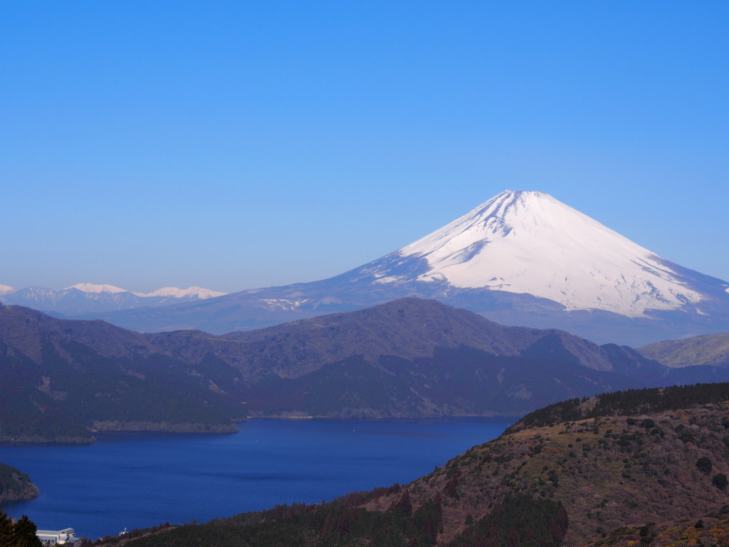 3/6 �Y��ȕx�m�R