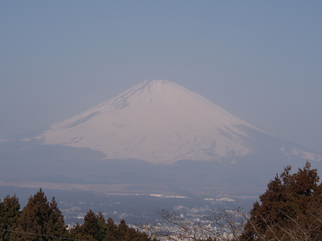 3/7 �Q�ڂ����x�m�R