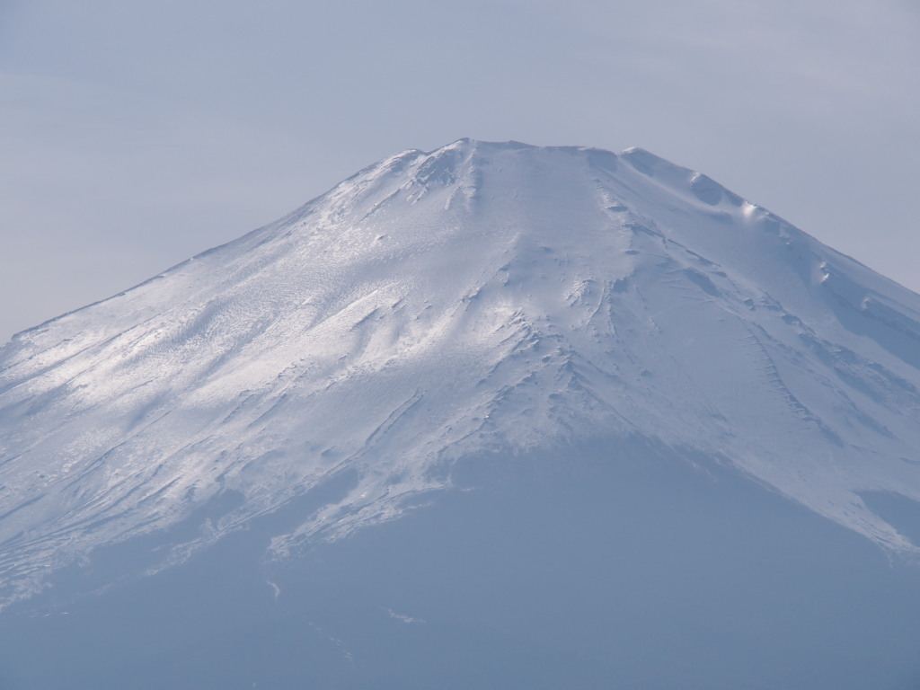 3/22 �����̕x�m�R