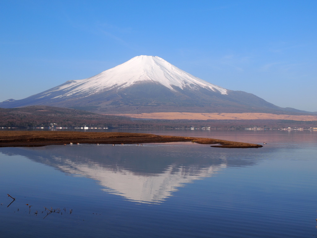 3/23 ����炩��̋t���x�m