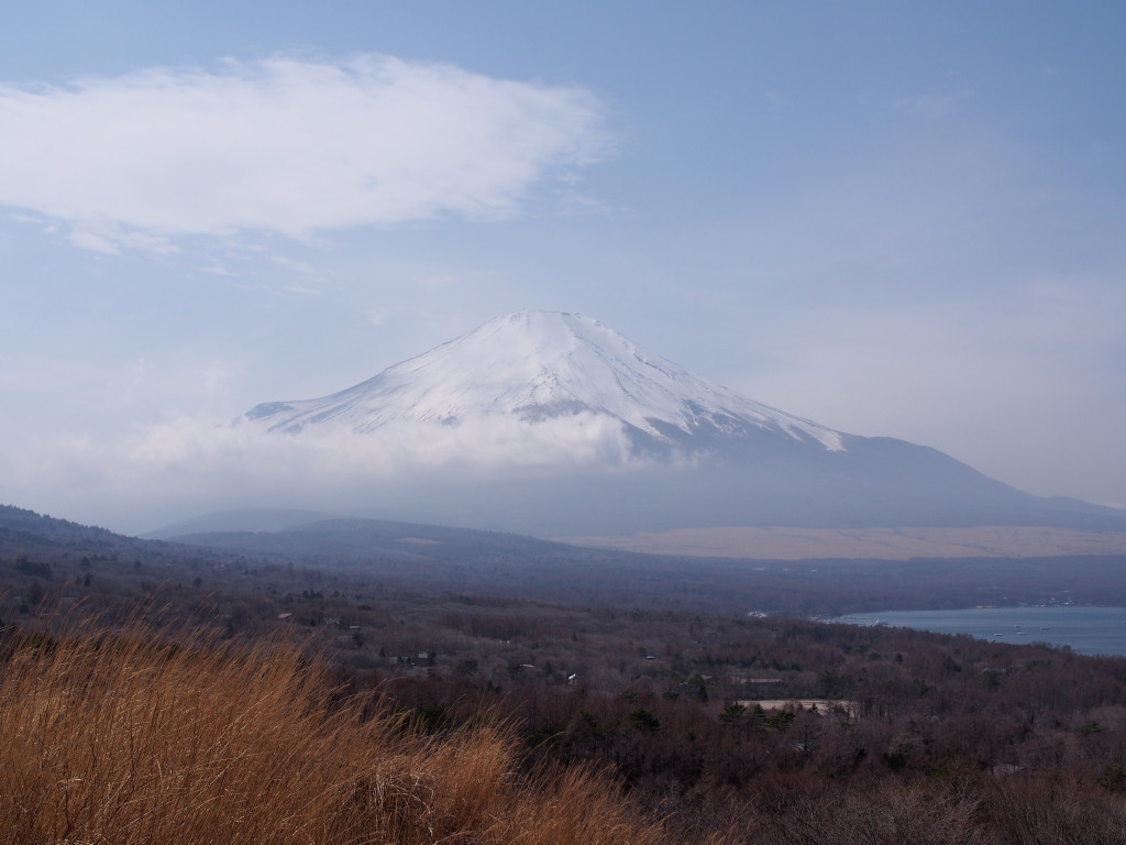 3/24 ��u�̕x�m�R