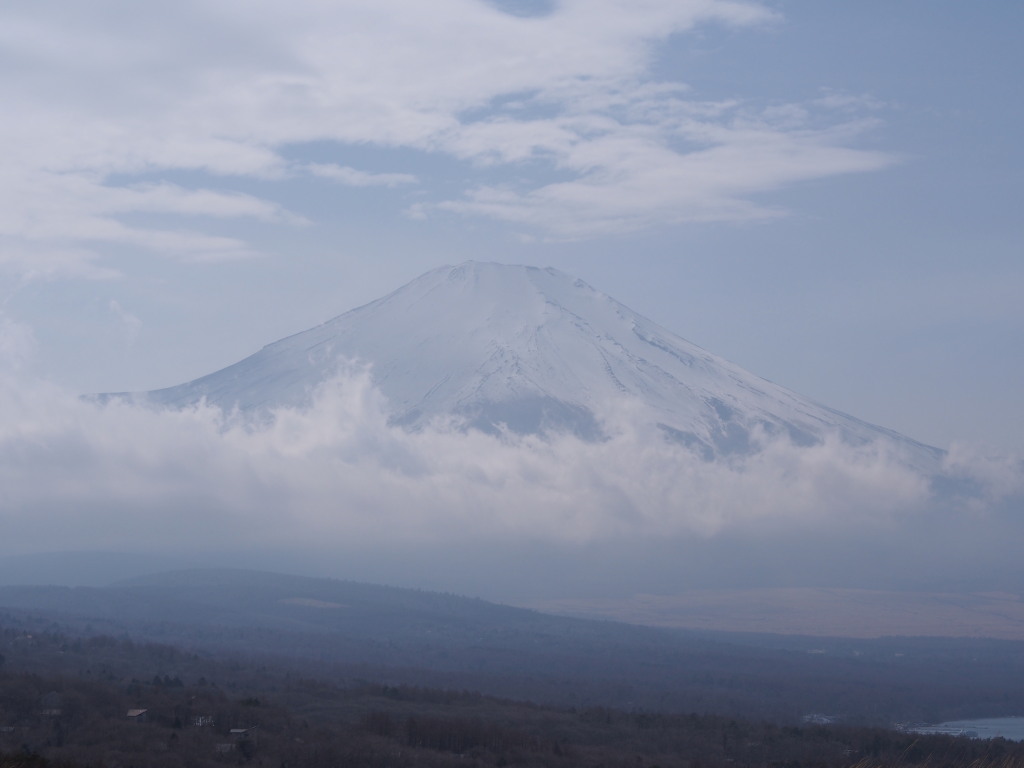 3/24 �_�̕x�m�R