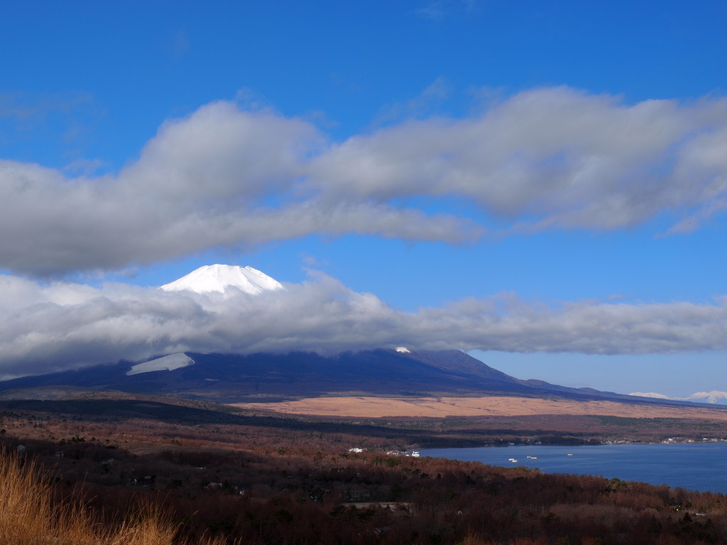 3/26 �����n�߂��x�m�R