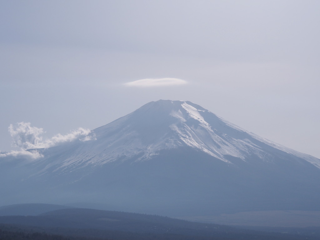 4/9 ��u�̎P�_�ƕx�m�R