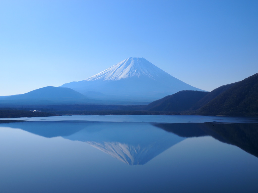 4/12 �t���x�m