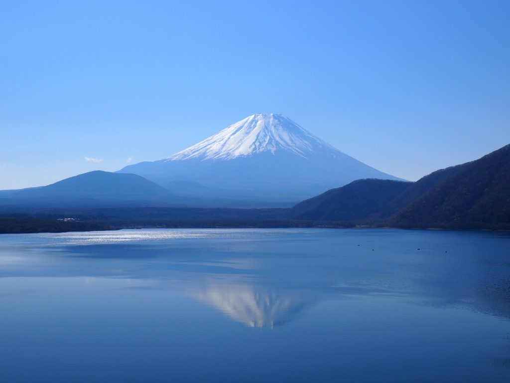 4/12 �t���x�m(2)