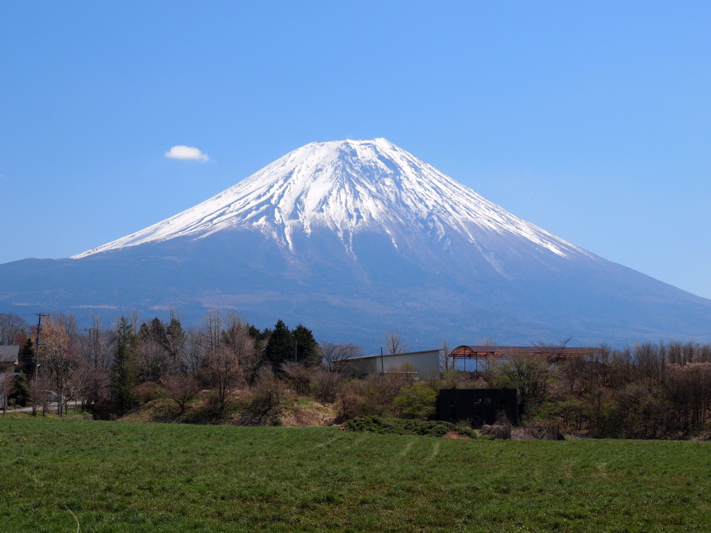 4/12 ����₩P����̕x�m�R