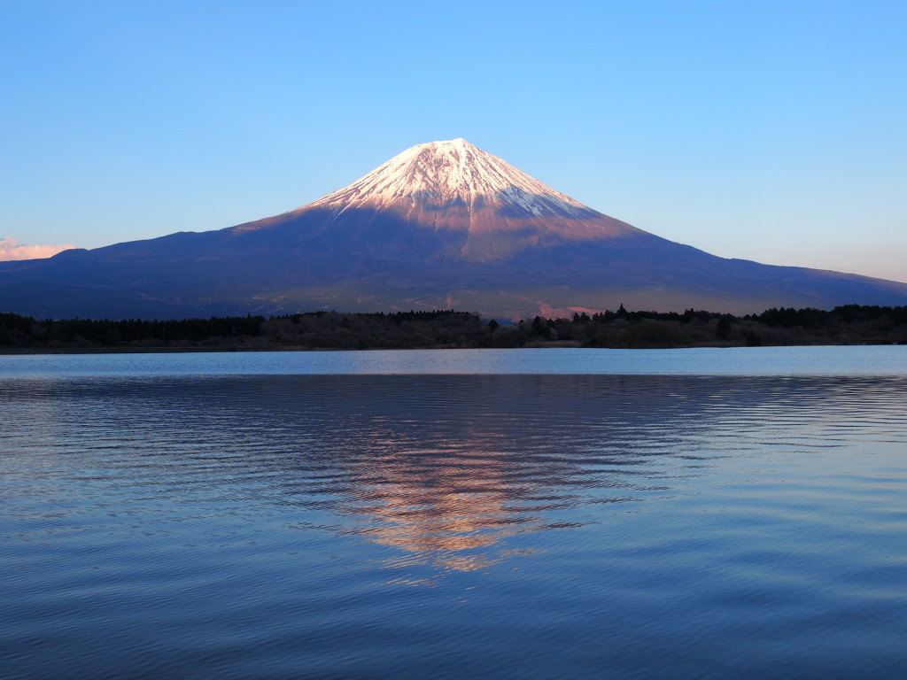 4/12 �[�Ă��ƕx�m�R