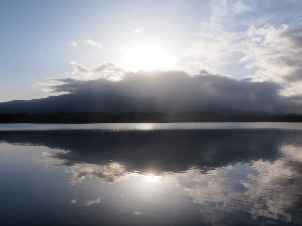 4/25 �_�̒��̃_�C�������h�x�m