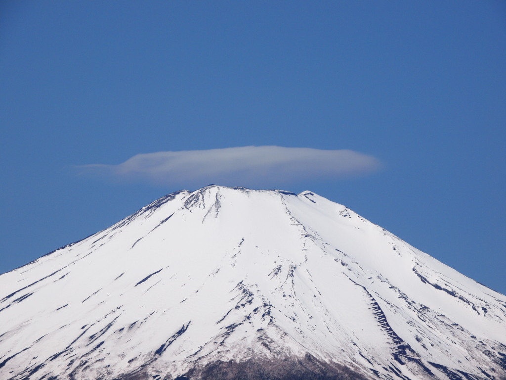 5/08 �������P�_�ƕx�m�R