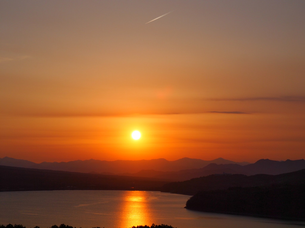 5/08 �A���v�X�̓��̓���