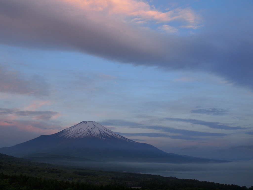 5/19 ���Ă��̕x�m�R