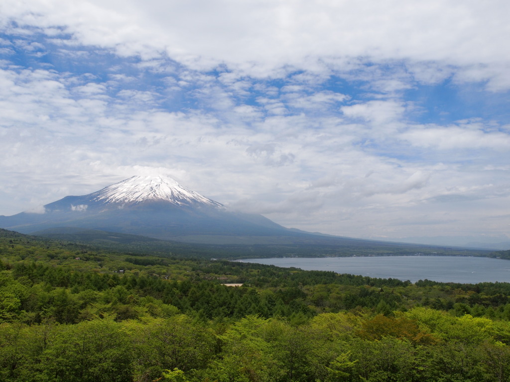 5/19 �V�΂̕x�m�R