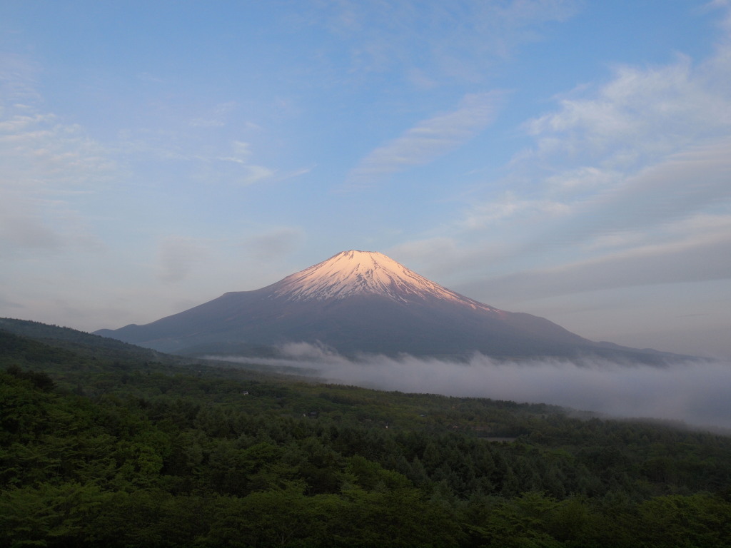 5/21 �J�オ��̕x�m�R