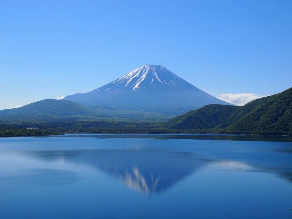 5/24 �t���x�m(3)