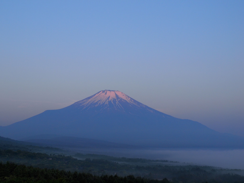 6/5 �ق�̂蒩�Ă��̕x�m�R