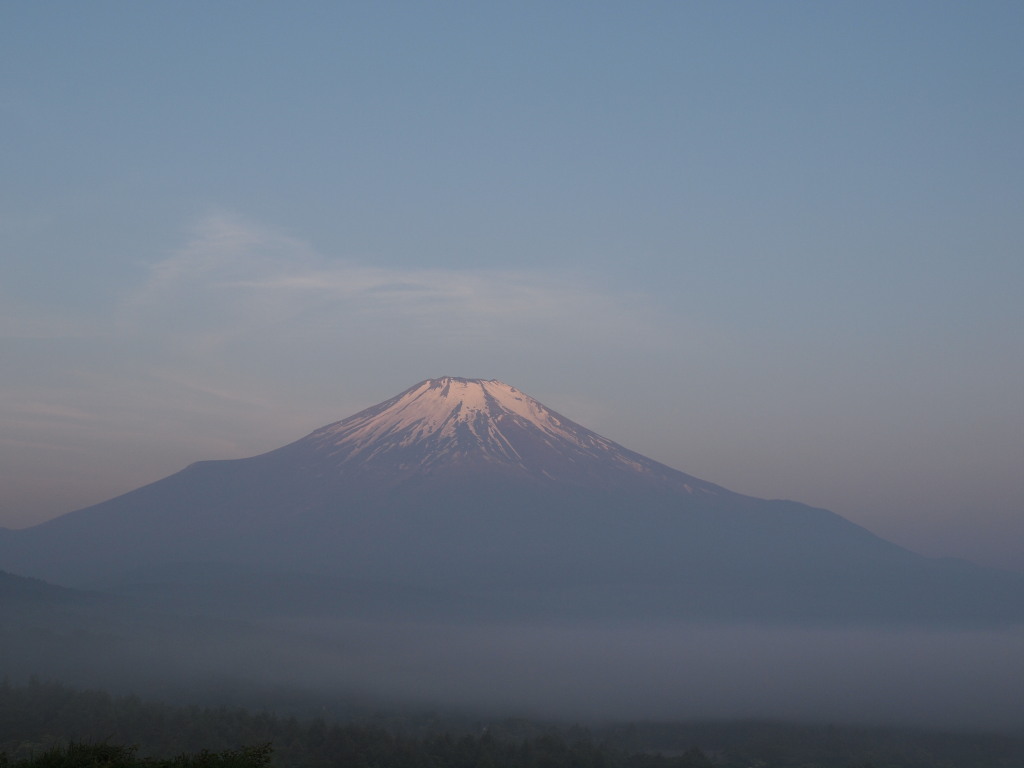 6/5 ��������P�_�ƕx�m�R