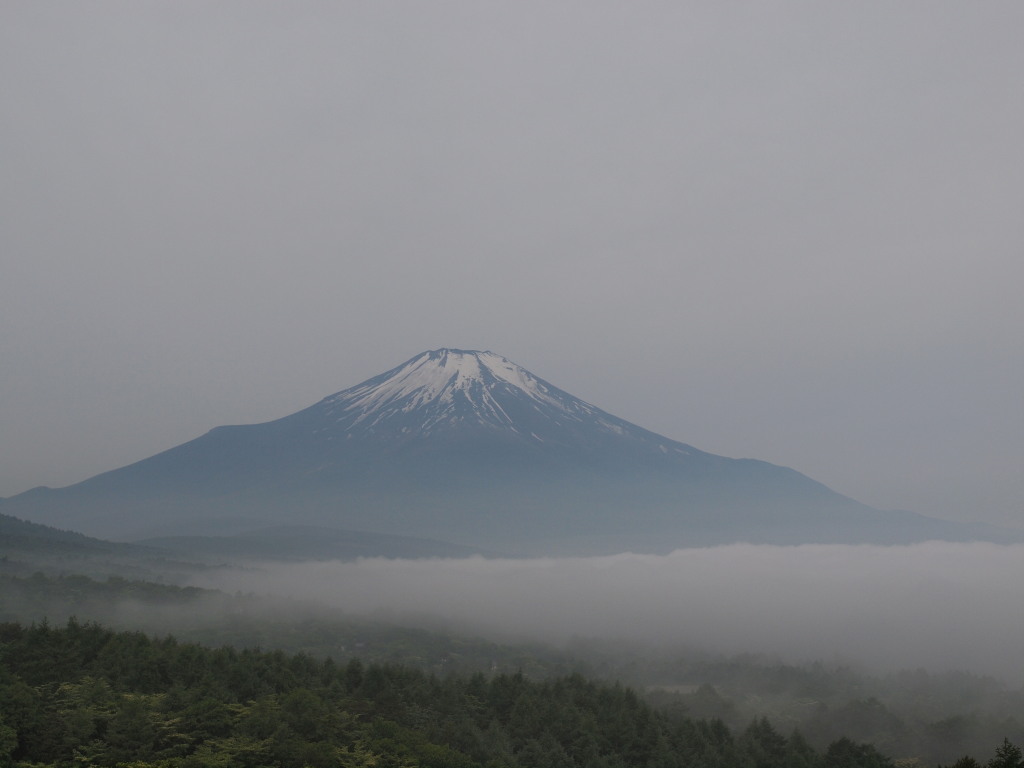 6/6 �Z���̕x�m�R