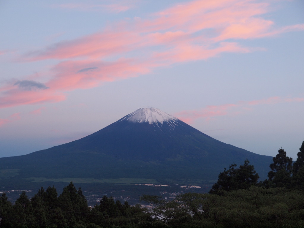 6/22 ���Ă��̕x�m�R