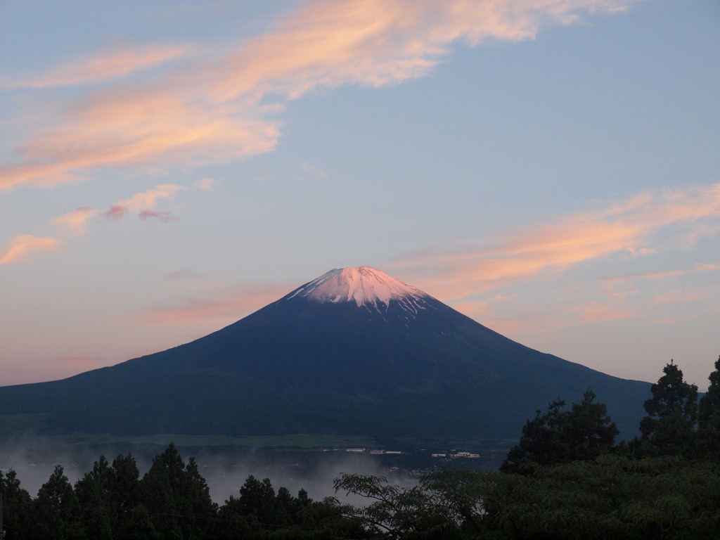 6/22 �ق�̂�g�x�m