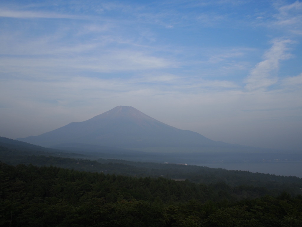 8/9 �_�ƕx�m�R