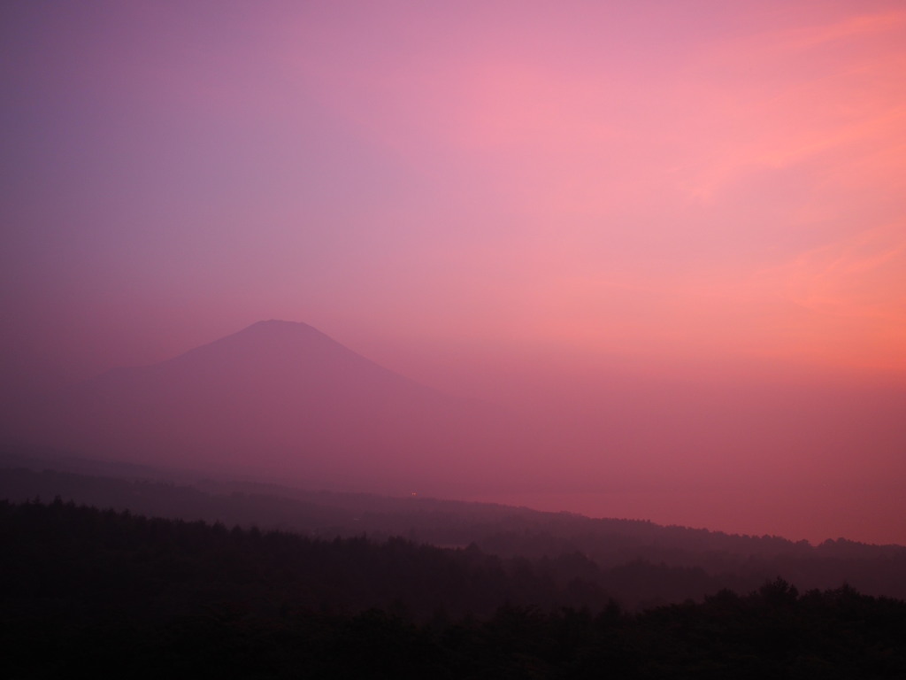 8/9 �[�Ă��̕x�m�R