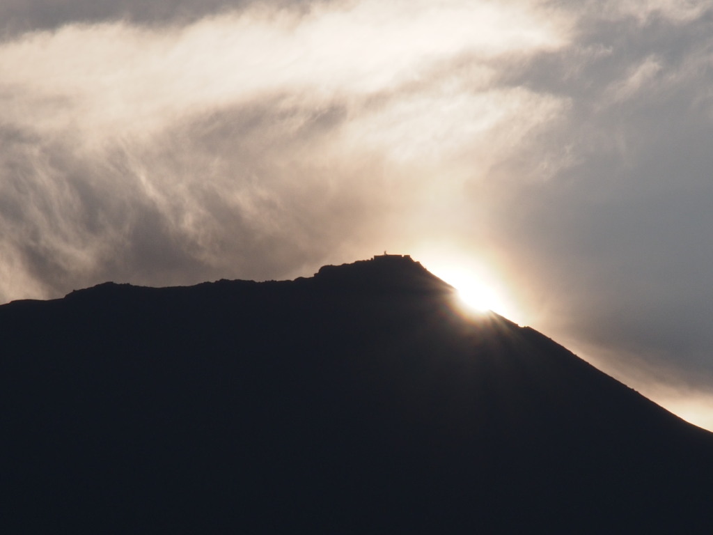 8/20 �_�C�������h�x�m���ǂ�