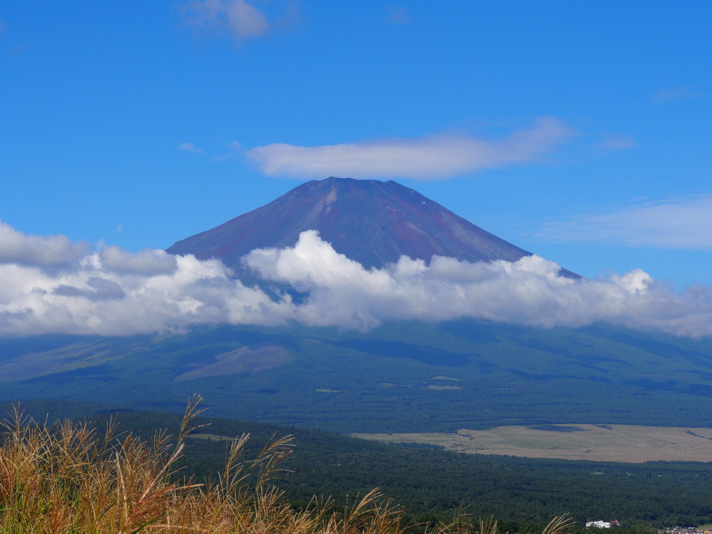 8/28 �P�_�ƕx�m�R