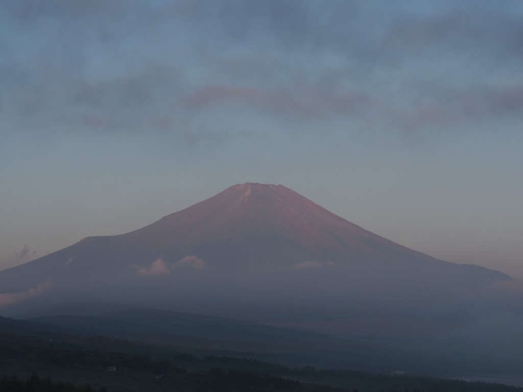 8/29 �Q�ڂ����x�m�R