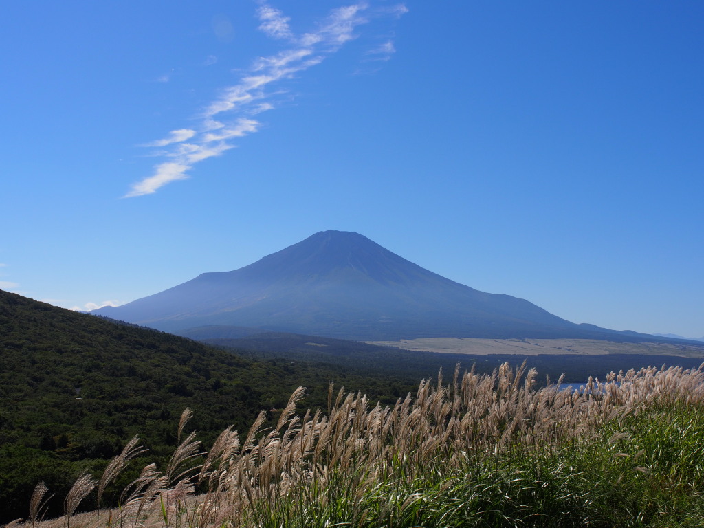 9/17 �X�X�L�ƕx�m�R