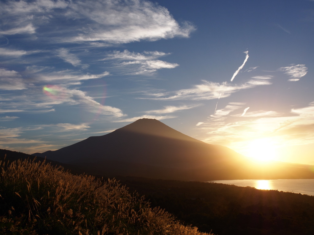 9/17 �ʉ_�Ɨ[�Ă��̕x�m�R