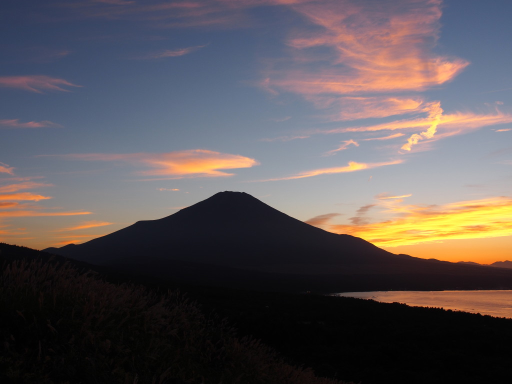 9/17 �[�Ă��̕x�m�R